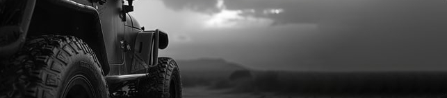 بررسی و کارشناسی خودرو با ایران دودیفرانسیل